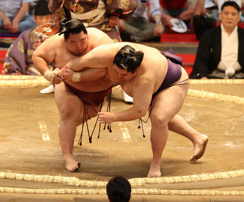 徳勝龍(左)は寄り切りで大奄美を下す(撮影・渦原淳)
