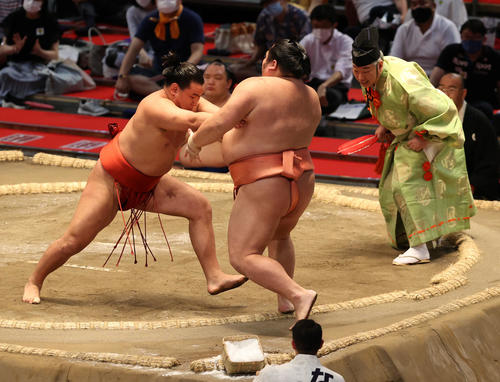 千代大龍を押し出す豊昇龍（左）（撮影・渦原淳）