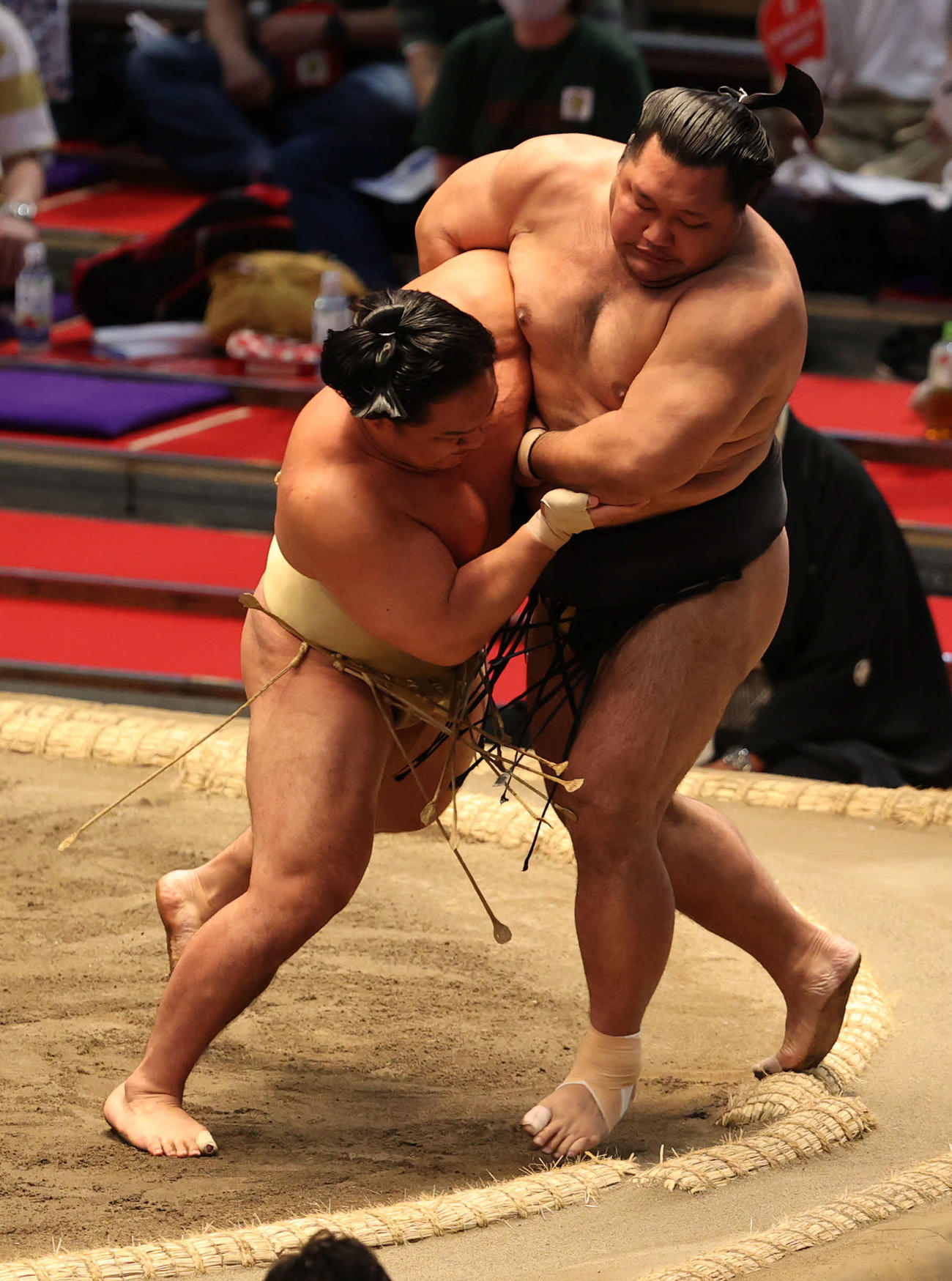 石浦（左）が松鳳山を寄り切る（撮影・渦原淳）