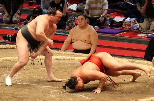 千代大龍（左）が　引き落としで霧馬山を破る（撮影・渦原淳）