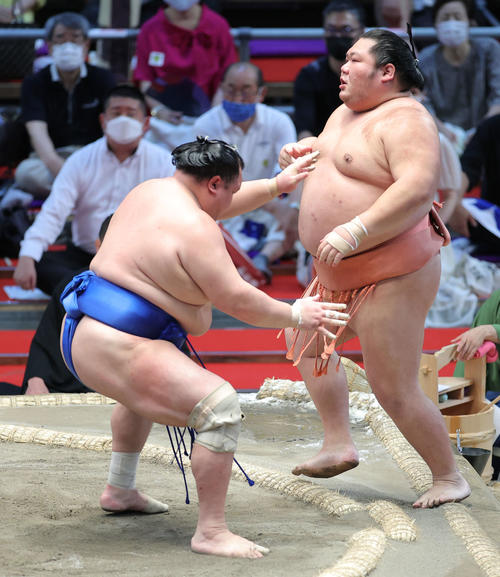 千代大龍(右)を押し出しで破る北勝富士(撮影・河田真司)