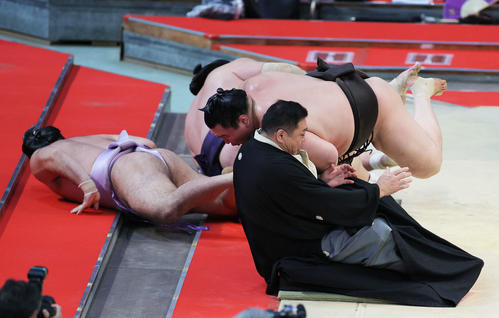 琴恵光（左）を寄り切りで下し、勢い余り土俵から落ちる白鵬（右）は枝川親方にぶつかる。奥は照ノ富士（撮影・河田真司）