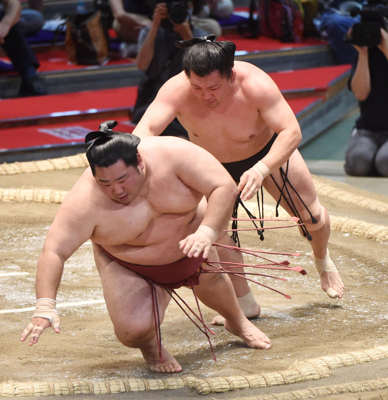 大相撲名古屋場所9日目　徳勝龍（左）に切り返しで勝利の照強（右）（撮影・森本幸一）