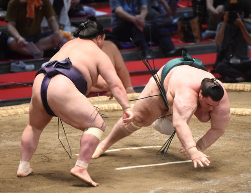 大相撲名古屋場所9日目 碧山(右)にはたき込みで勝利の阿武咲(左)(撮影・森本幸一)