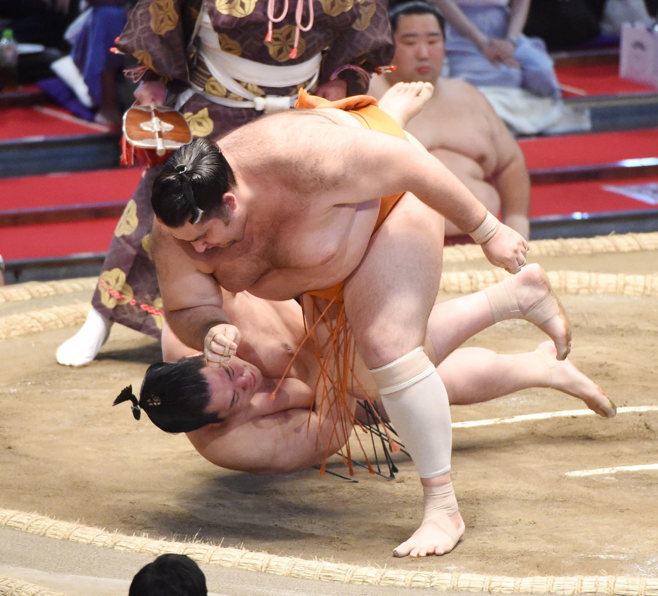 大相撲名古屋場所10日目　輝（左）に引き落としで勝利の魁聖（右）（撮影・森本幸一）