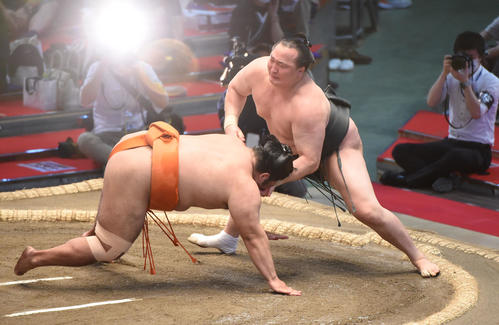 大相撲名古屋場所10日目　志摩ノ海（左）に引き落としで勝利の千代翔馬（右）（撮影・森本幸一）