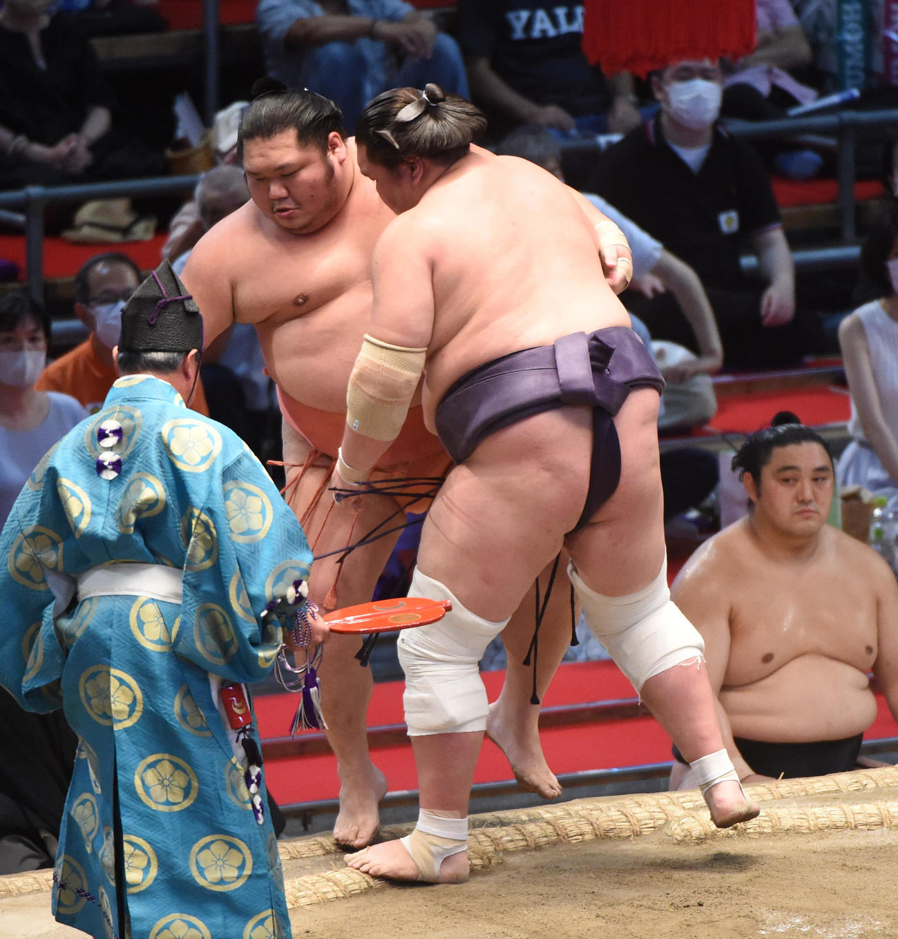 大相撲名古屋場所10日目　千代大龍（左）に寄りきりで勝利の照ノ富士（右）（撮影・森本幸一）