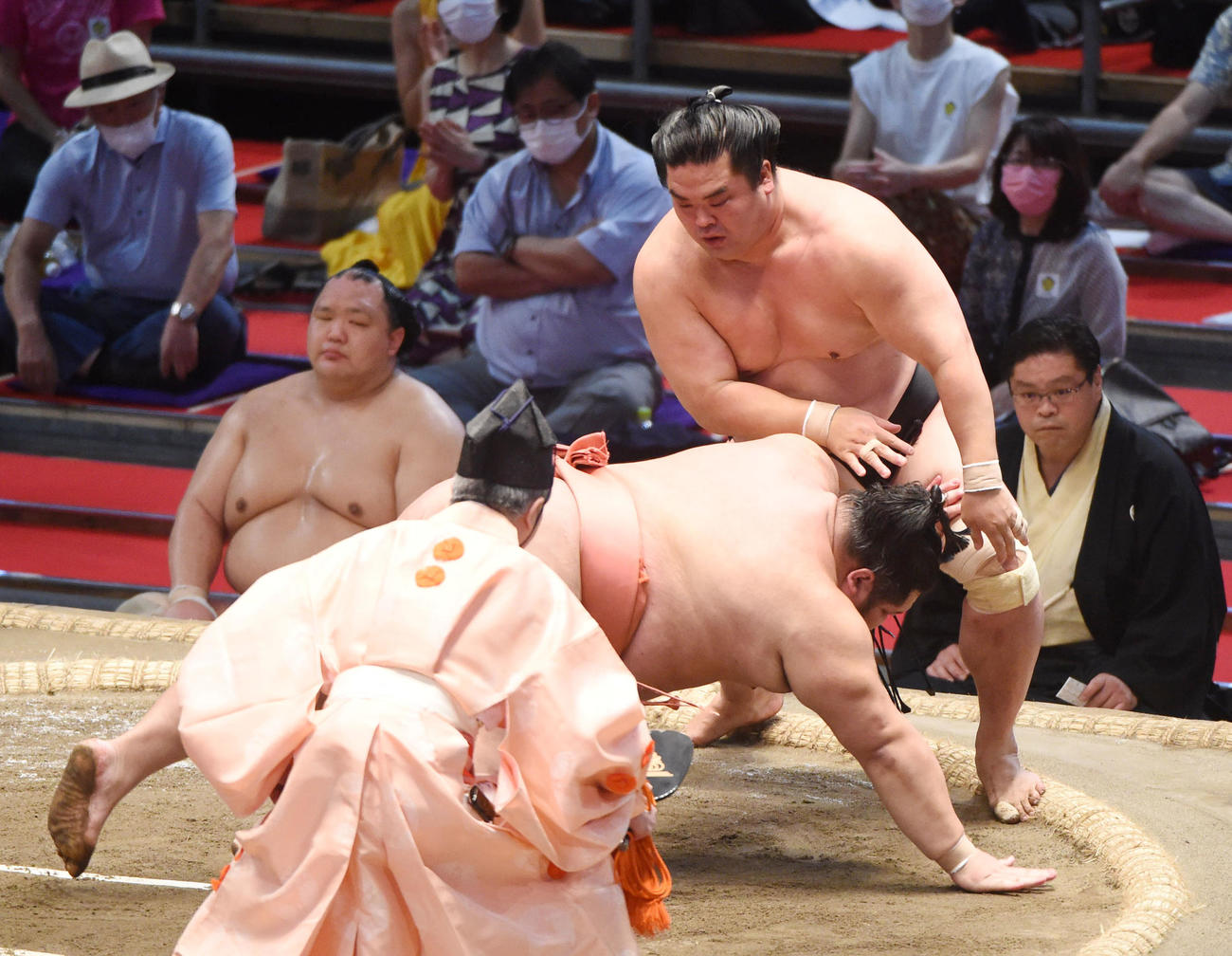 大相撲名古屋場所12日目　妙義龍（奥）は千代大龍をはたき込みで破る（撮影・森本幸一）