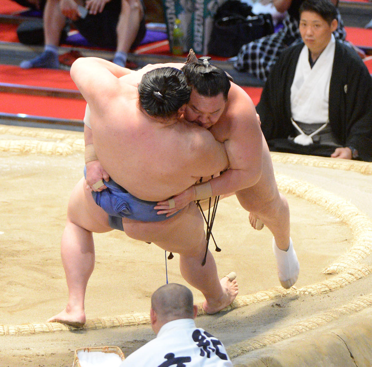 大相撲名古屋場所14日目　白鵬（右）が正代を浴びせ倒しで破る（撮影・森本幸一）
