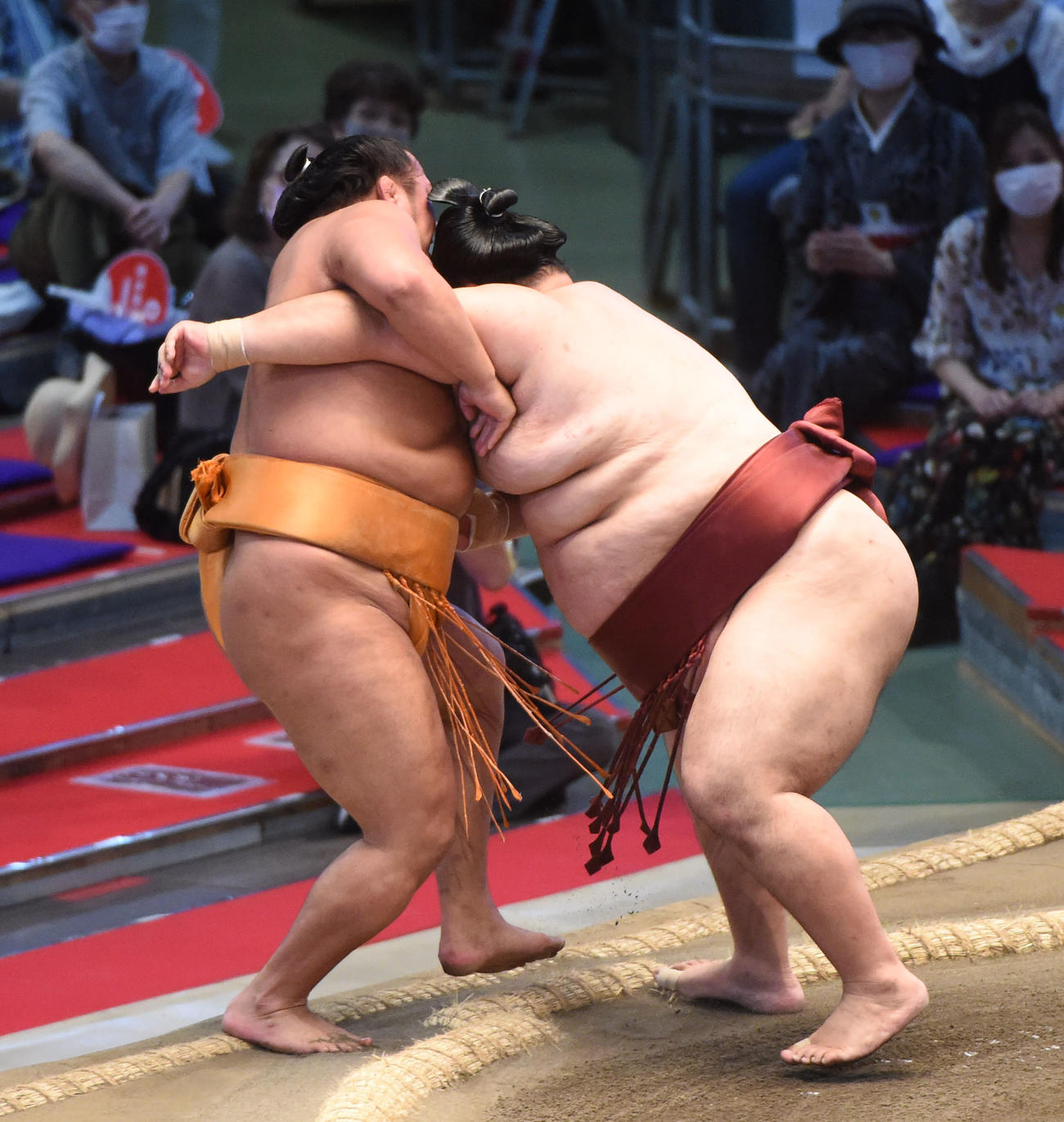 大相撲名古屋場所13日目　徳勝龍（右）に寄り切られた旭大星（21年7月16日撮影）