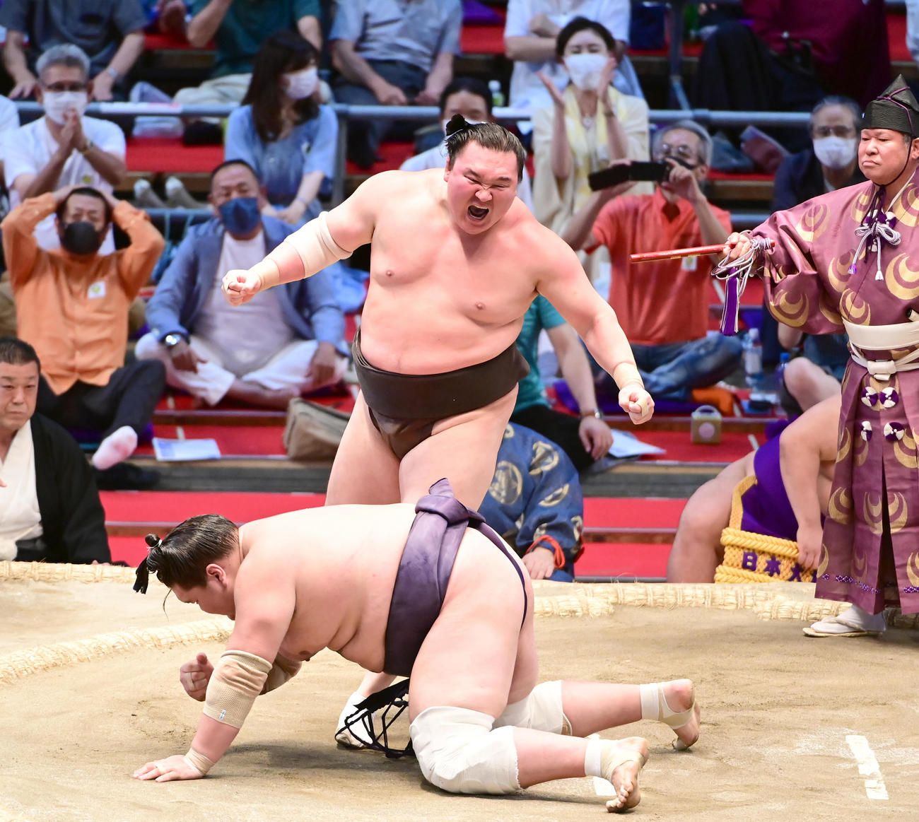 白鵬は照ノ富士（手前）を小手投げで破り全勝優勝を決め歓喜の表情で雄たけびを上げる（撮影・小沢裕）