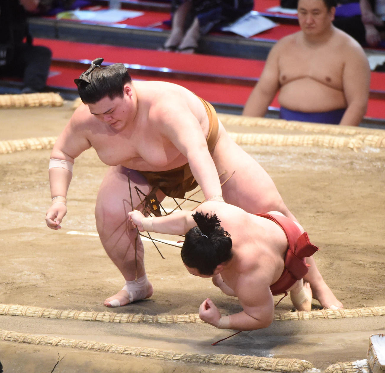 大相撲名古屋場所千秋楽　炎鵬（右）は王鵬の押し倒しに敗れる（撮影・森本幸一）