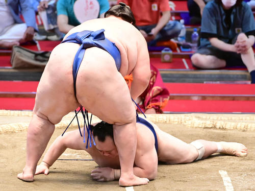 逸ノ城は宝富士をはたき込みで破る(撮影・小沢裕)
