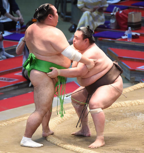 大相撲名古屋場所千秋楽 英乃海(右)は千代丸を寄りきりで破る(撮影・森本幸一)