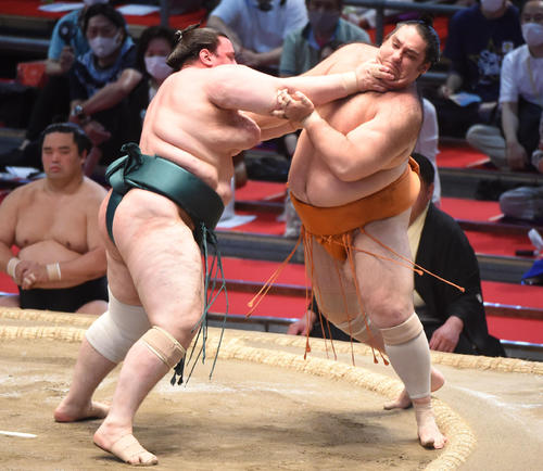 大相撲名古屋場所千秋楽 碧山(左)は魁聖を押し出しで破る(撮影・森本幸一)