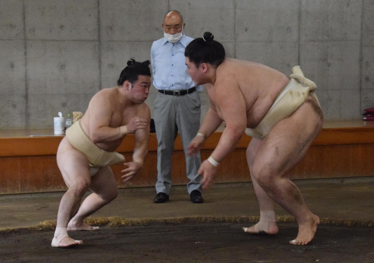 合同稽古の申し合いで相撲を取る炎鵬（左）と王鵬（代表撮影）