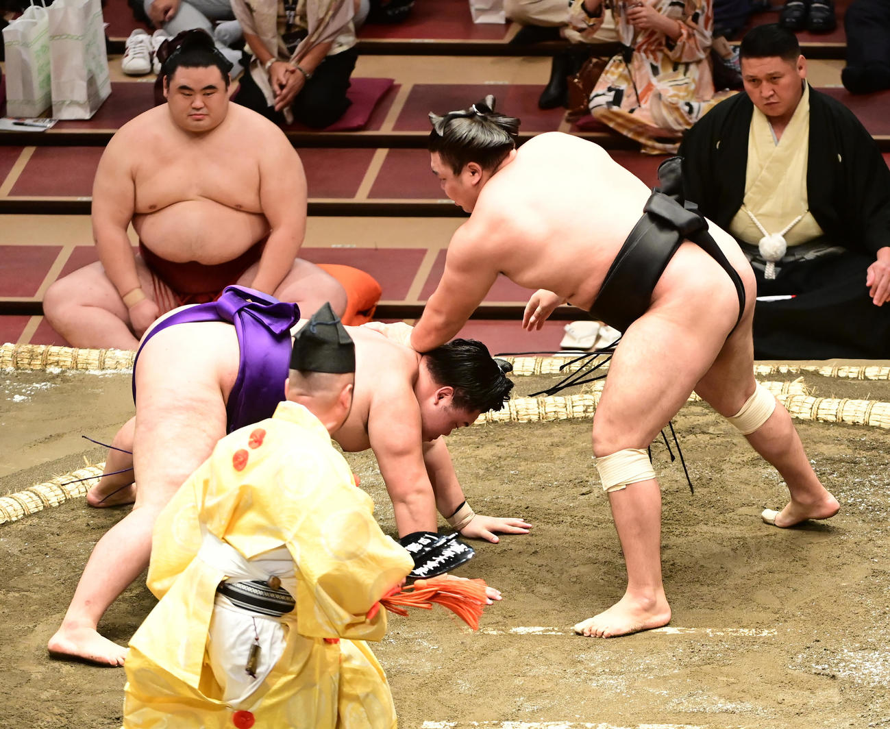 霧馬山（右）ははたき込みで明生を破る（撮影・小沢裕）