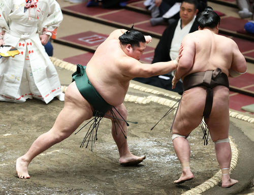 英乃海（右）を突き出しで破る千代大龍（撮影・河田真司）