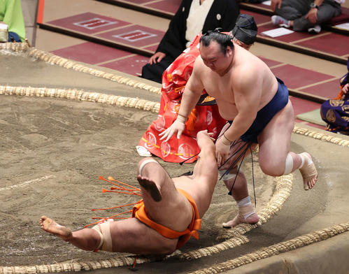 志摩ノ海（左）を突き落とす宝富士（撮影・河野匠）