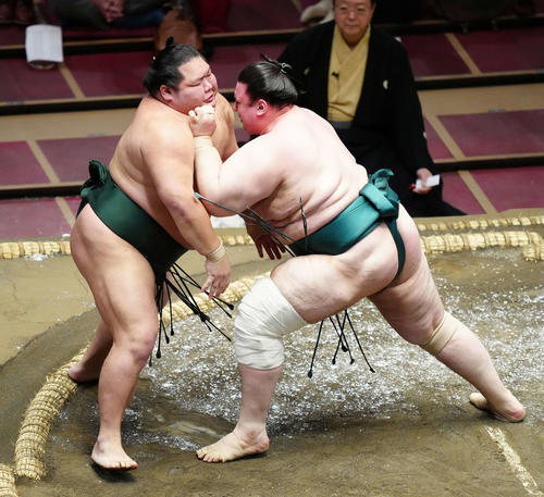 千代大龍（左）を押し出しで破る碧山（撮影・江口和貴）