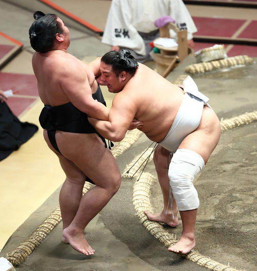 千代ノ皇（左）を寄り切りで破る旭大星（撮影・河田真司）