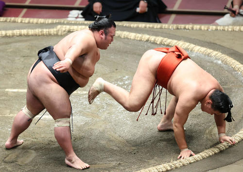 豊昇龍（右）突き落としで破る貴景勝（撮影・河田真司）
