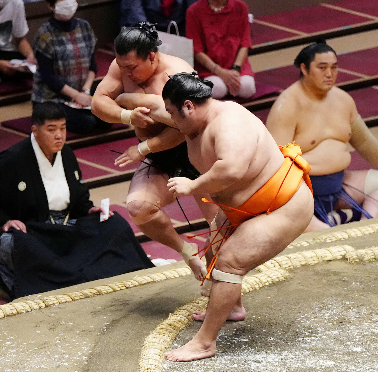 照強（左）を押し出しで破る志摩ノ海（撮影・江口和貴）