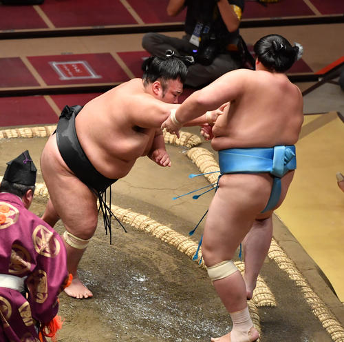 貴景勝（左）は琴ノ若を押し出しで破る（撮影・柴田隆二）