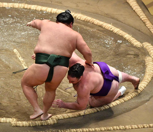 千代大龍（左）は栃ノ心をはたき込みで破る（撮影・柴田隆二）