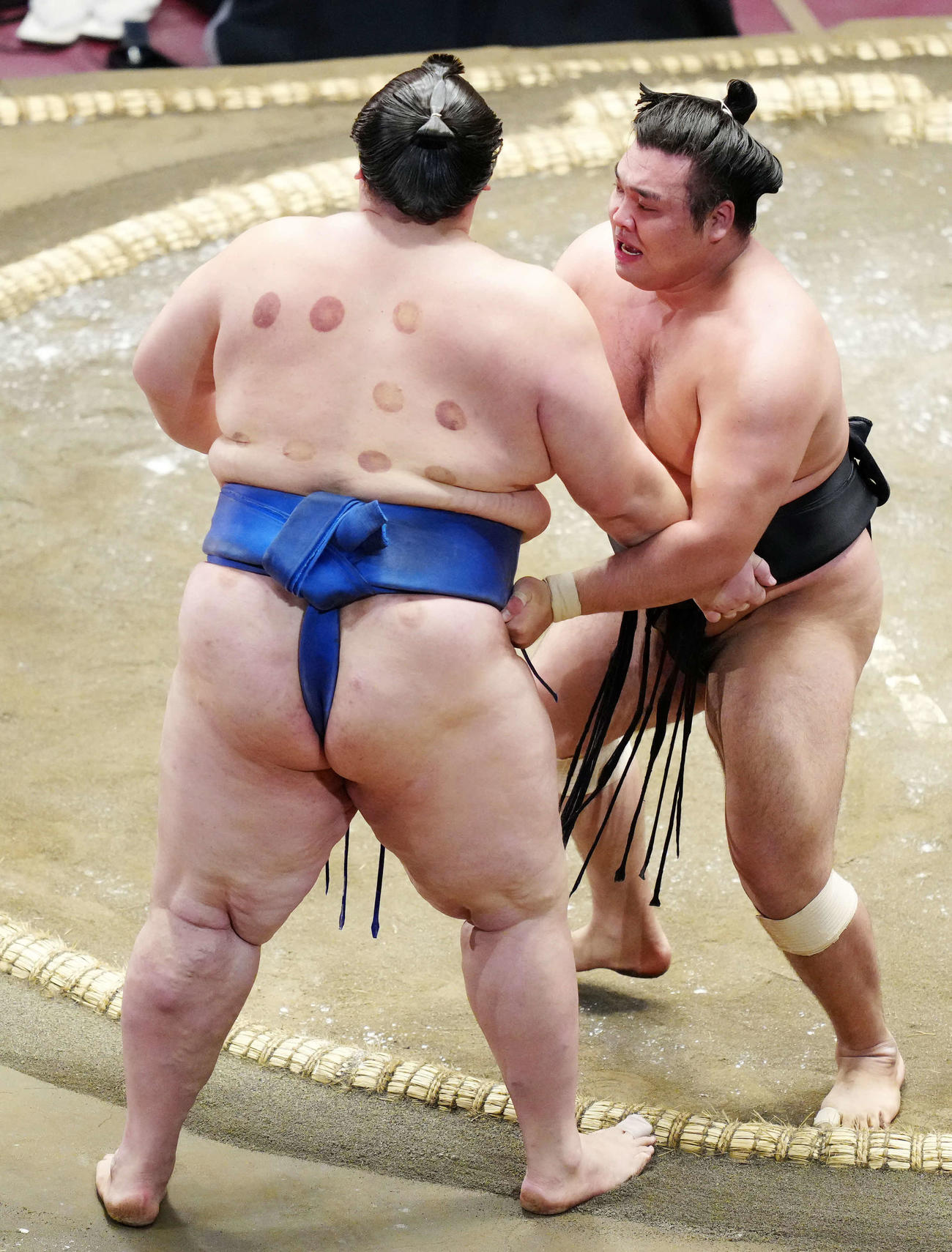 逸ノ城（左）を寄り切りで破る霧馬山（撮影・江口和貴）