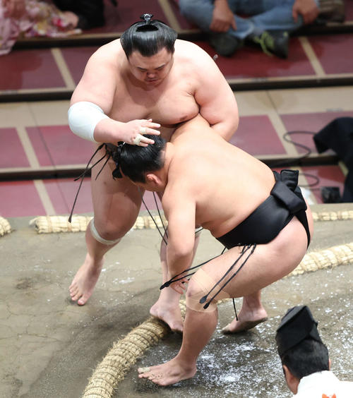 英乃海（左）を寄り切りで破る照強（撮影・河田真司）