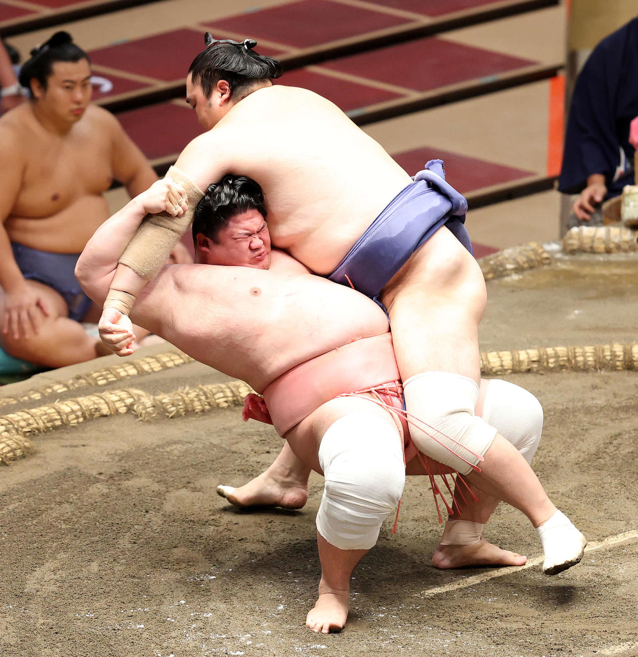 宇良（左）を押し倒しで破る隠岐の海（撮影・鈴木正人）