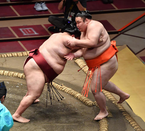 徳勝龍（左）は水戸龍を押し出しで破る（撮影・柴田隆二）