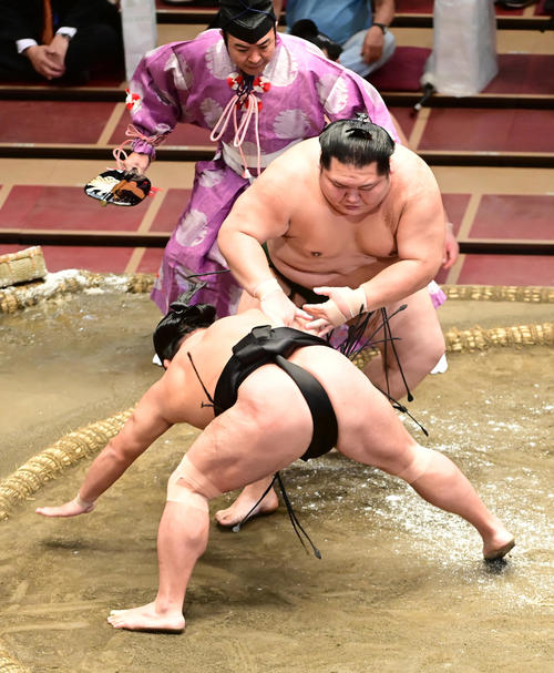千代大龍は照強（左）を突き落としで破る（撮影・小沢裕）