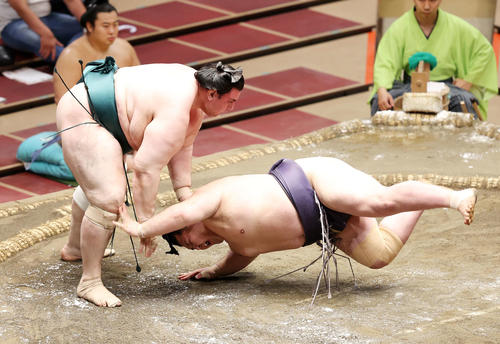 阿武咲（右）をはたき込みで破る碧山（撮影・鈴木正人）
