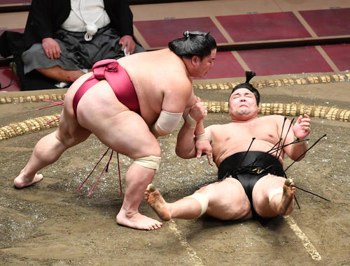 大栄翔（左）は霧馬山を引き落としで破る（撮影・柴田隆二）