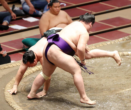 千代翔馬（後方）を突き落としで破る明生（撮影・鈴木正人）