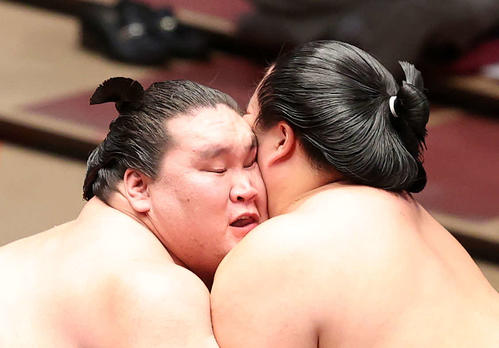琴ノ若（右）と攻め合う照ノ富士（撮影・鈴木正人）