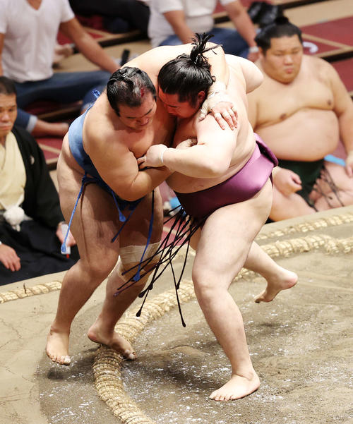 千代の国（左）を寄り切りで破る遠藤（撮影・鈴木正人）
