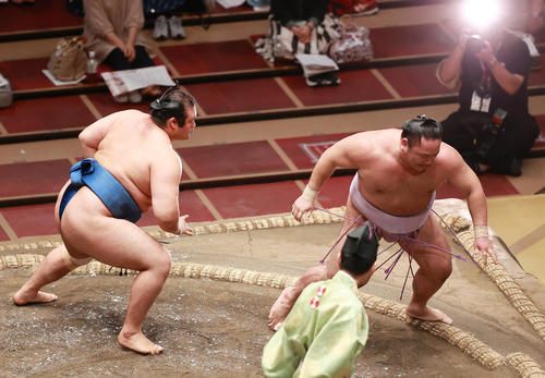 琴恵光（右）を押し出しで破る千代の国（撮影・野上伸悟）