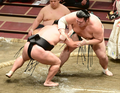 豊山（右）は照強をはたき込みで破る（撮影・小沢裕）