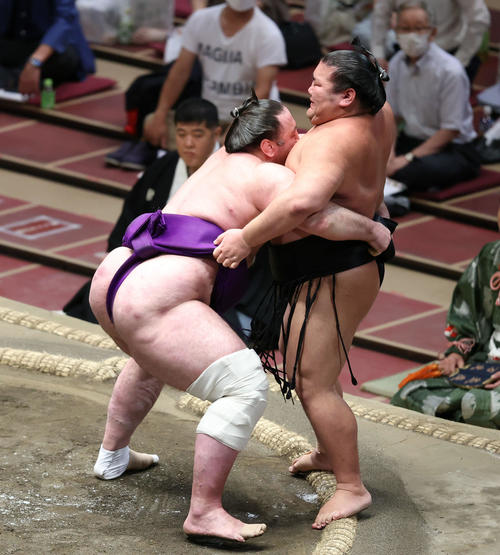 千代ノ皇（右）を寄り切る栃ノ心（撮影・河田真司）