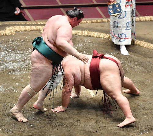 碧山（左）は徳勝龍をはたき込みで破る（撮影・柴田隆二）