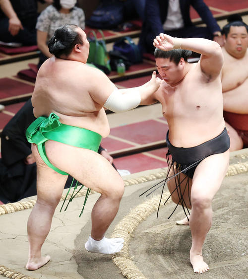 千代丸（左）を寄り切りで破る若元春（撮影・河田真司）