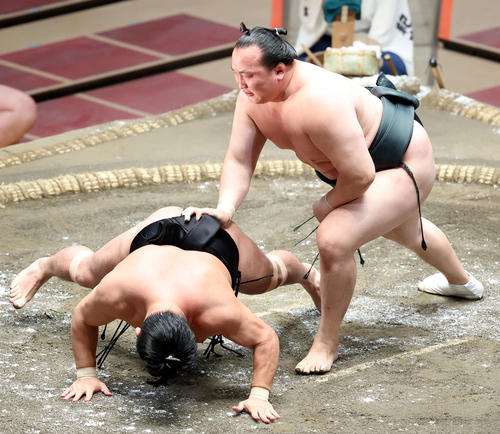 照強（左）をはたき込みで破る千代翔馬（撮影・河田真司）