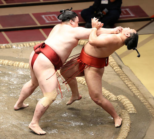 豊昇龍（右）を押し出しで破る隆の勝（撮影・鈴木正人）