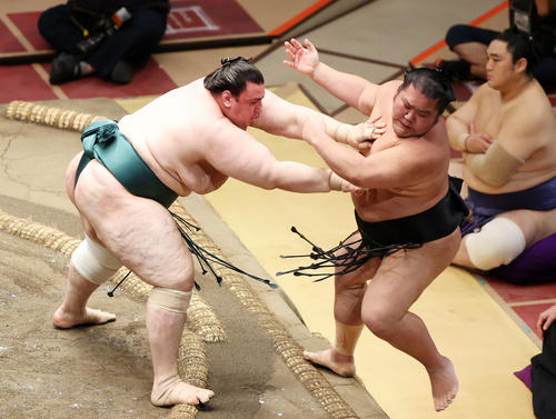 千代ノ皇（右）を押し出しで破る碧山（撮影・鈴木正人）