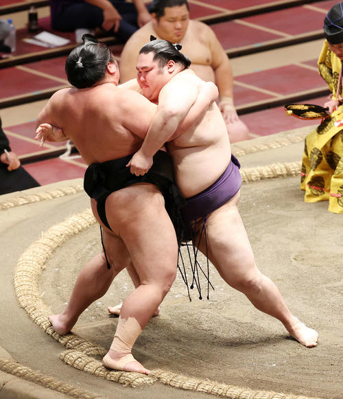 千代ノ皇（左）を寄り切りで破る大奄美（撮影・鈴木正人）