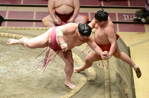 大栄翔（左）は豊昇龍を押し出しで破る（撮影・小沢裕）