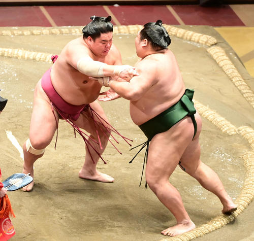 大栄翔（左）は千代大龍を押し出しで破る（撮影・小沢裕）